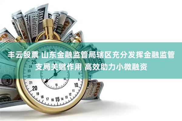 丰云股票 山东金融监管局辖区充分发挥金融监管支局关键作用 高效助力小微融资