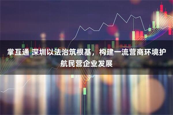 掌互通 深圳以法治筑根基，构建一流营商环境护航民营企业发展
