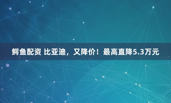 鳄鱼配资 比亚迪，又降价！最高直降5.3万元