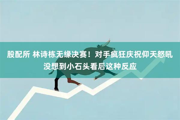 股配所 林诗栋无缘决赛！对手疯狂庆祝仰天怒吼没想到小石头看后这种反应